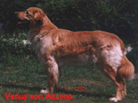 venus